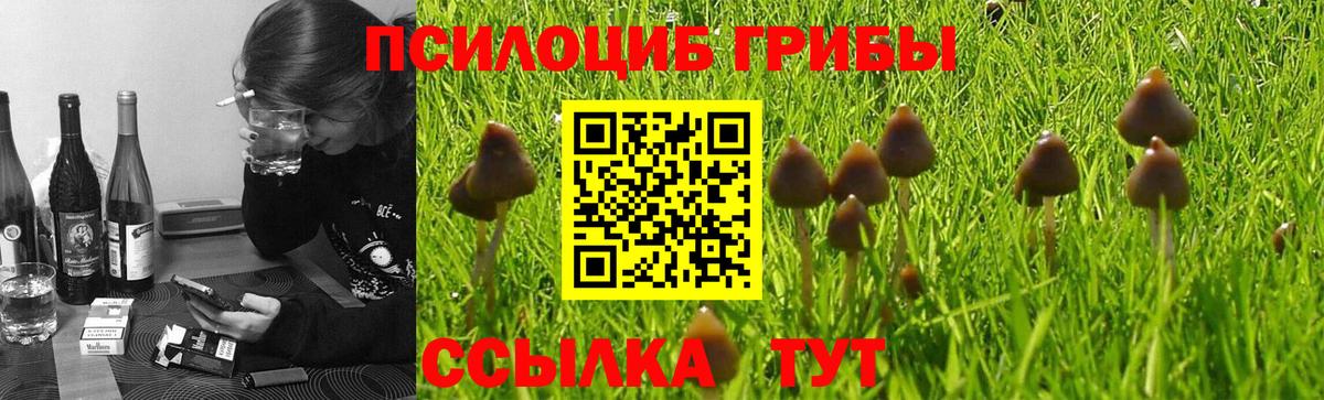 Горячий Ключ  Галлюциногенные грибы мухоморы  Вход с VPN 